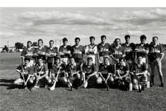First_Hurling